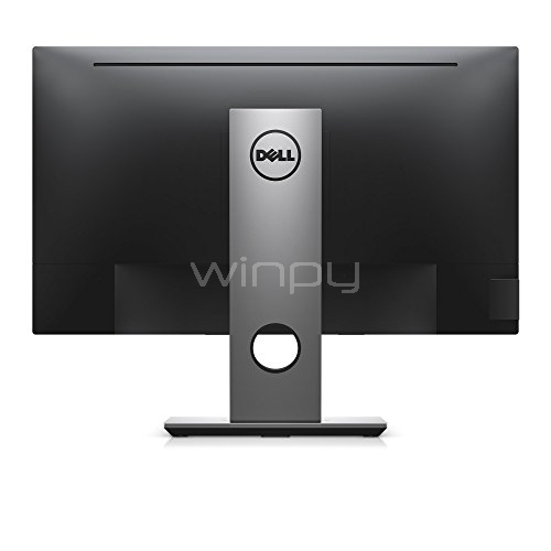 Monitor IPS Profesional Dell  P2417H (24 pulgadas)