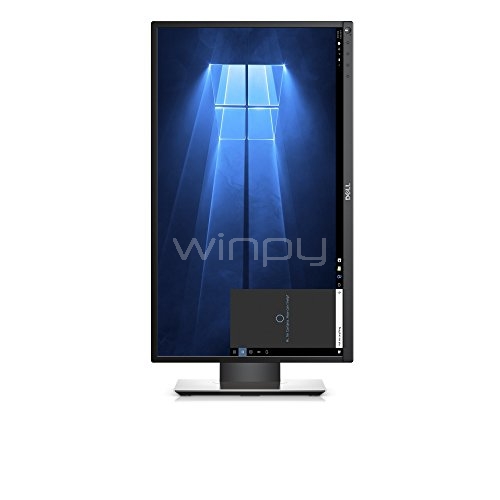 Monitor IPS Profesional Dell  P2417H (24 pulgadas)