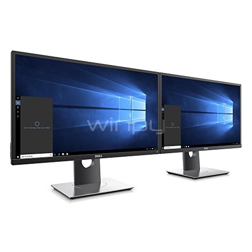 Monitor IPS Profesional Dell  P2417H (24 pulgadas)