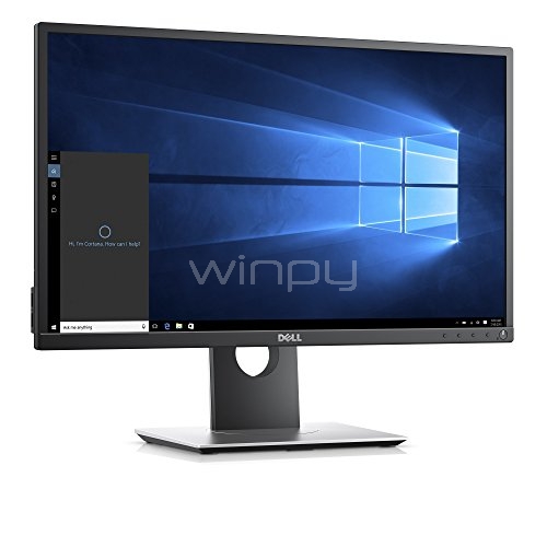 Monitor IPS Profesional Dell  P2417H (24 pulgadas)