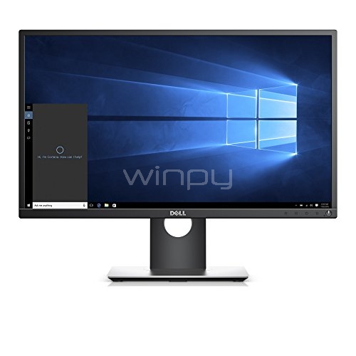 Monitor IPS Profesional Dell  P2417H (24 pulgadas)