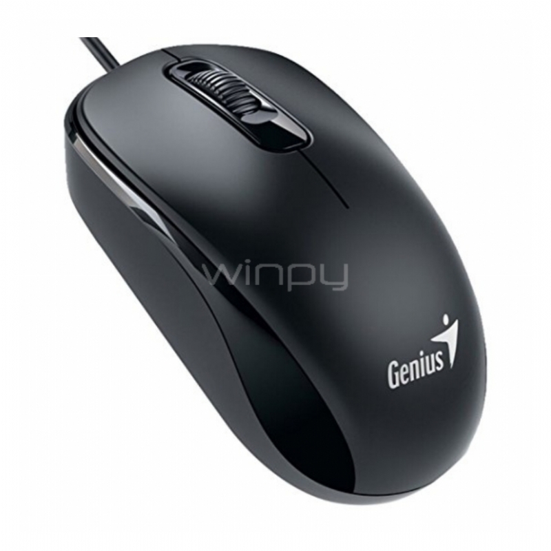 Mouse Genius DX-110 Ambidiestro (USB, Negro)