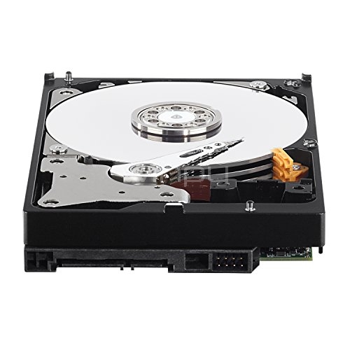 Disco duro Western Digital Purple de 10TB (SATA, 5400rpm, Formato 3.5)