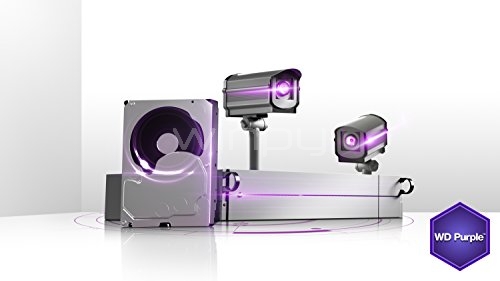 Disco duro Western Digital Purple de 10TB (SATA, 5400rpm, Formato 3.5)