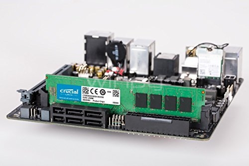 Crucial 8GB DDR4 2666 UDIMM メモリ Memoria RAM Crucial de 8GB (DDR4, 2666MHz, 288 pines, UDIMM