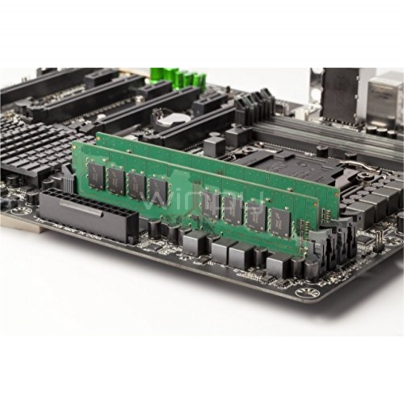 Crucial 8GB DDR4 2666 UDIMM メモリ Memoria RAM Crucial de 8GB (DDR4, 2666MHz, 288 pines, UDIMM