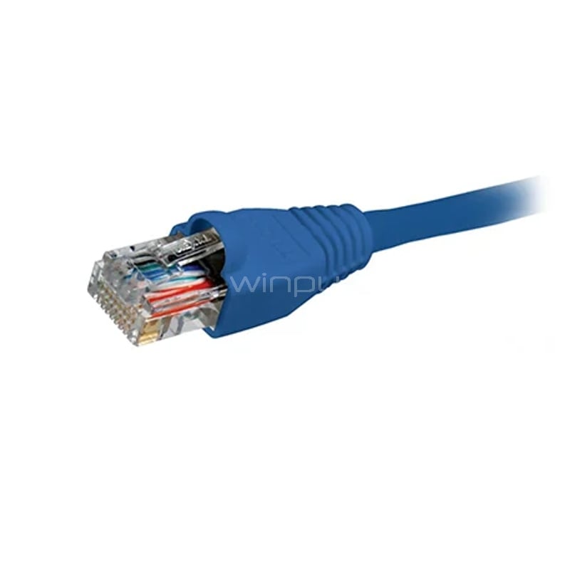 Cable Patch Nexxt de Interconexión (UTP, Cat5E, 3 metros, Azul)