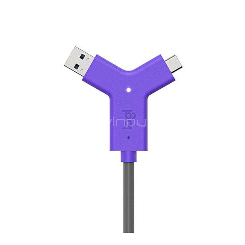 Link para Videoconferencias Logitech Swytch (HDMI x 2, USB 3.0, USB-C x 2)