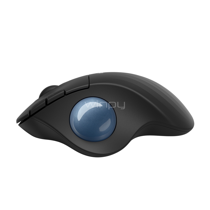 Mouse Logitech Ergo M575 (Bluetooth, 2000 DPI, Trackball, Negro)