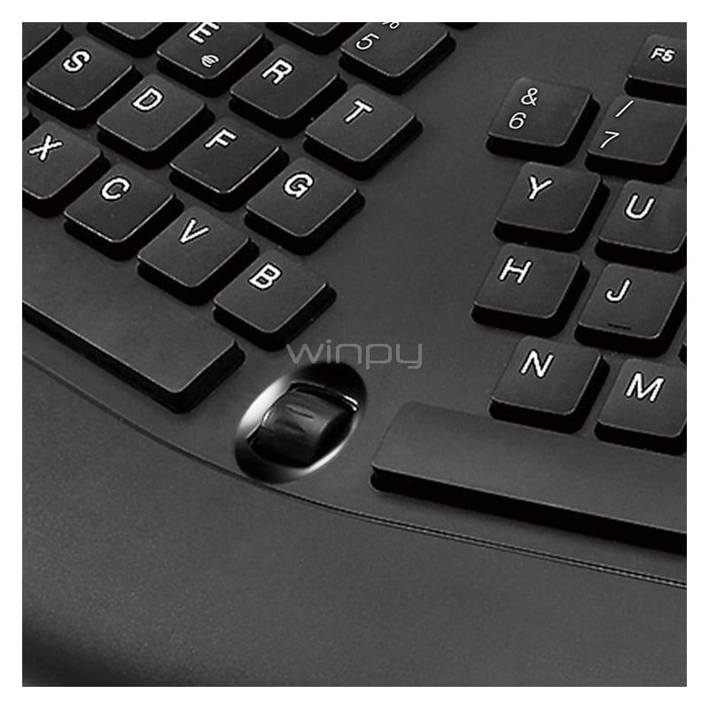 Teclado Klipxtreme Majestik con Rueda Scroll (Ergonómico, Español, Negro)