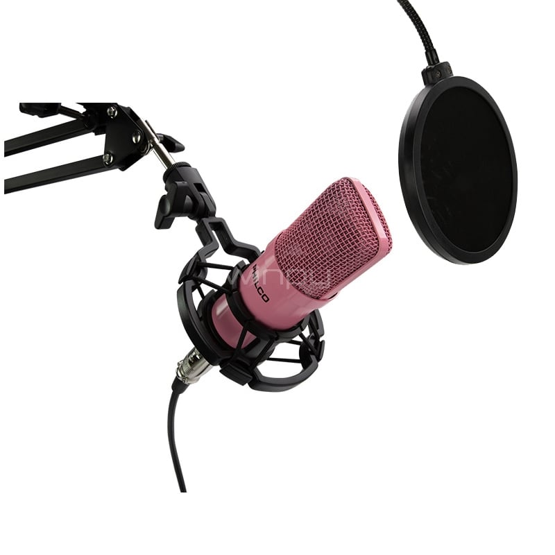 Kit Micrófono Philco Studio (con Soporte+Anti-Pop de 30Hz a 20KHz, Rosado)