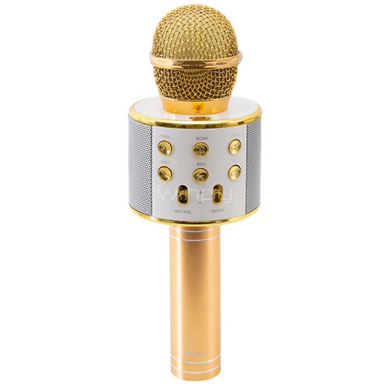 Micrófono Karaoke ProSound con Altavoz (MP3/WAV, Puerto MicroSD, Dorado)