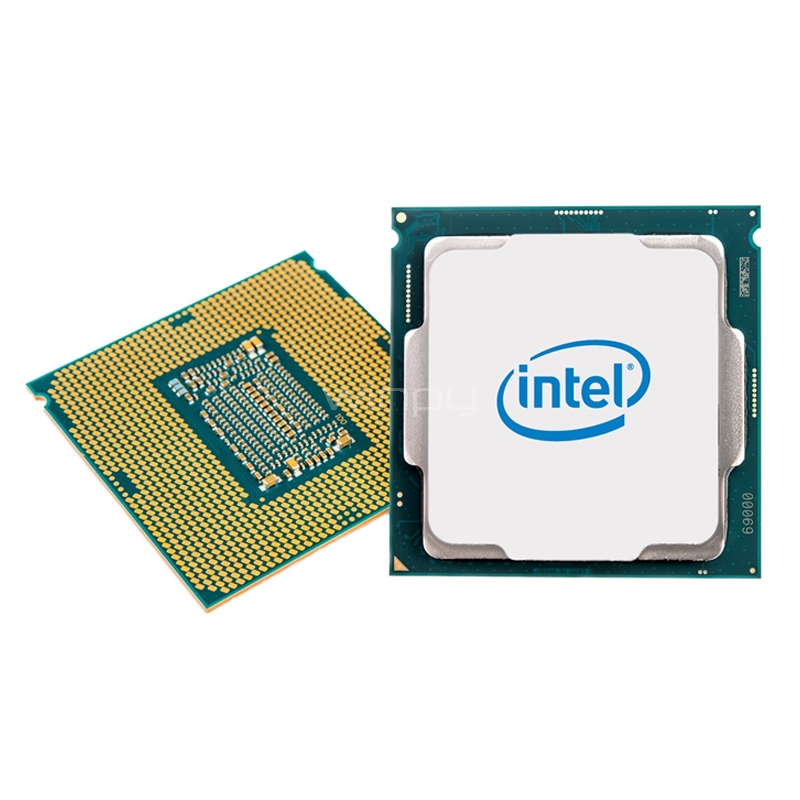 Procesador Intel Pentium Gold G6405 (LGA1200, 2 Cores, 4 Hilos, 4.1 GHz)