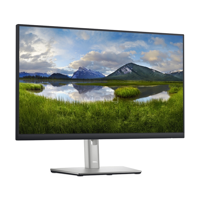 Monitor Dell P2422H de 23.8“ (IPS, Full HD, DP+HDMI+VGA, Pivot, Vesa)