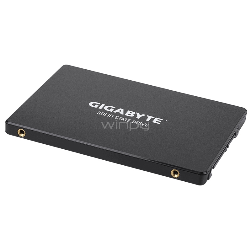 Disco de estado sólido Gigabyte de 256GB (SSD 2.5“, SATA)