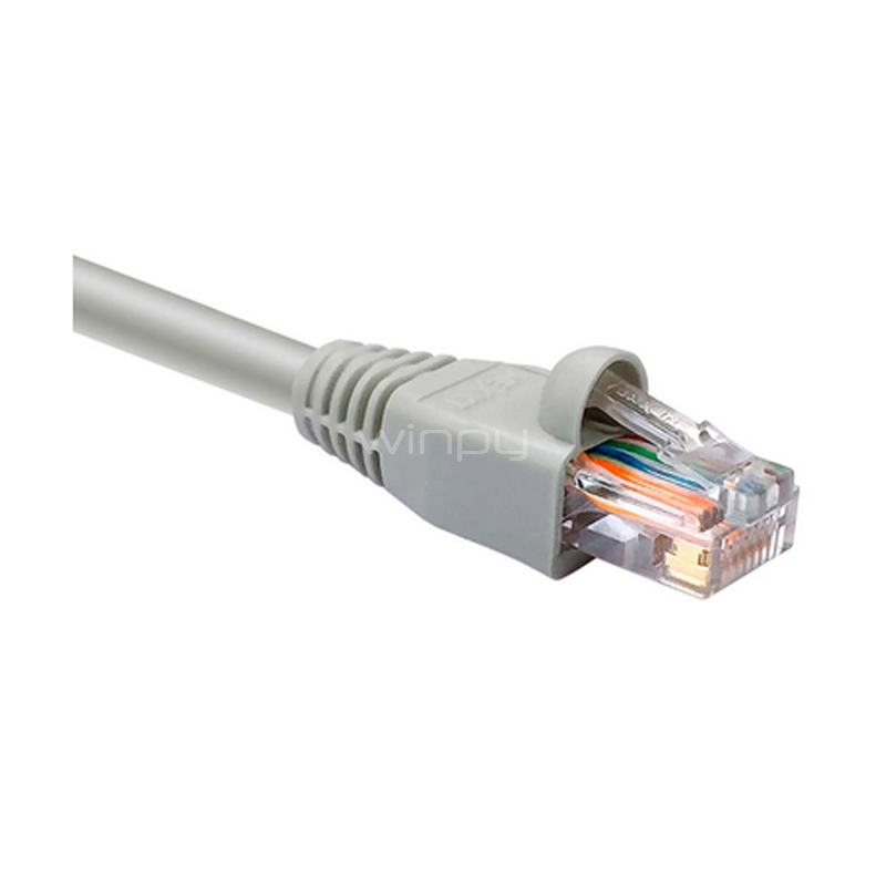 Cable Patch Nexxt de Interconexión RJ-45 (UTP, Cat5E, 90 cm, Gris)