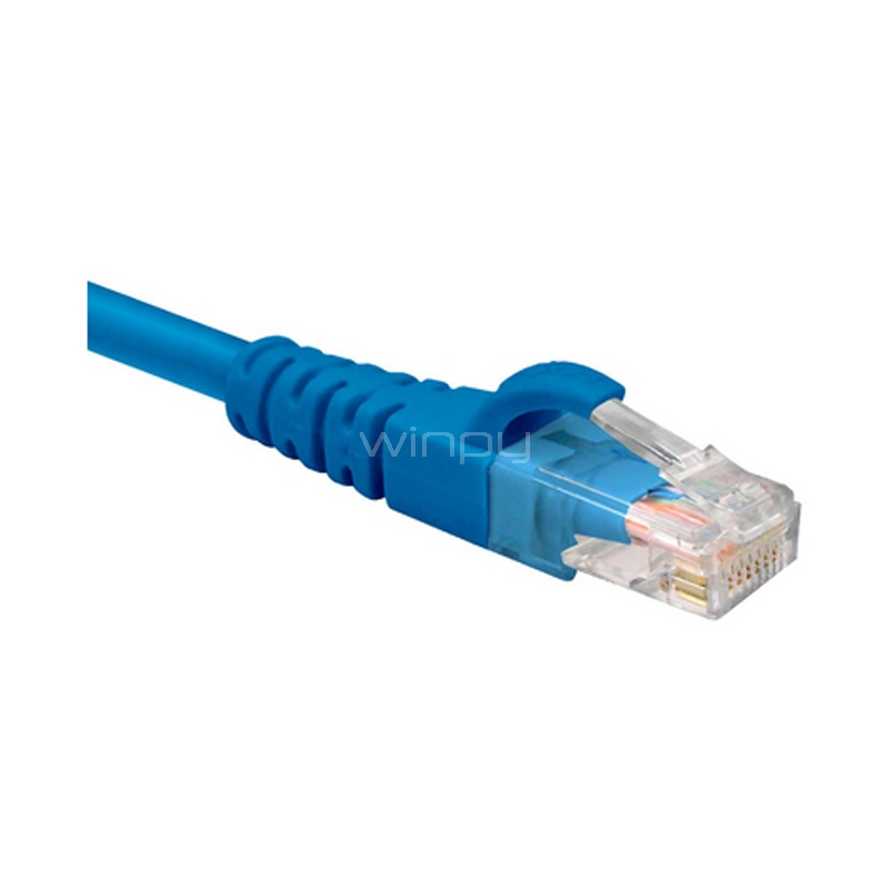 Cable Nexxt Patch Cord UTP Cat6 (90 cm, Azul)