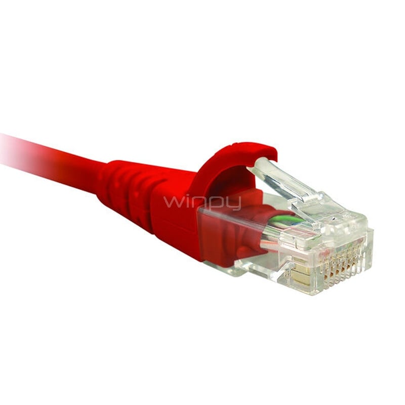 Cable Patch Nexxt Solutions RJ-45 (2.1 Metros, UTP, Cat6, Rojo)