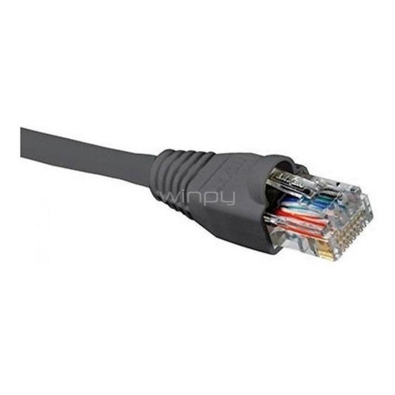 Cable Patch Nexxt Solutions RJ-45 (2.1 Metros, UTP, Cat5e, Gris)