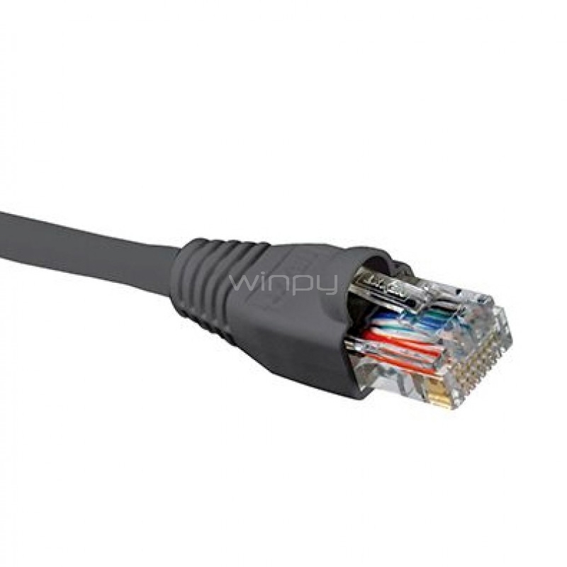 Cable Patch Nexxt de Interconexión RJ-45 (2.1 mts, UTP, Cat5e, Gris)