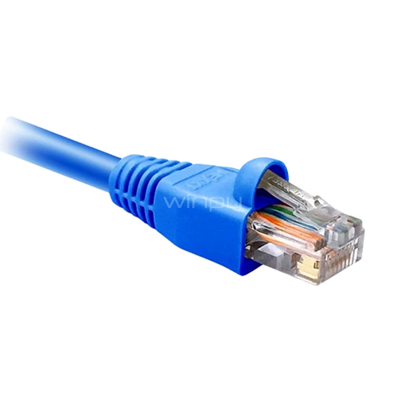 Cable Patch Nexxt Solutions RJ-45 (2.1 Metros, UTP, Cat5e, Azul)