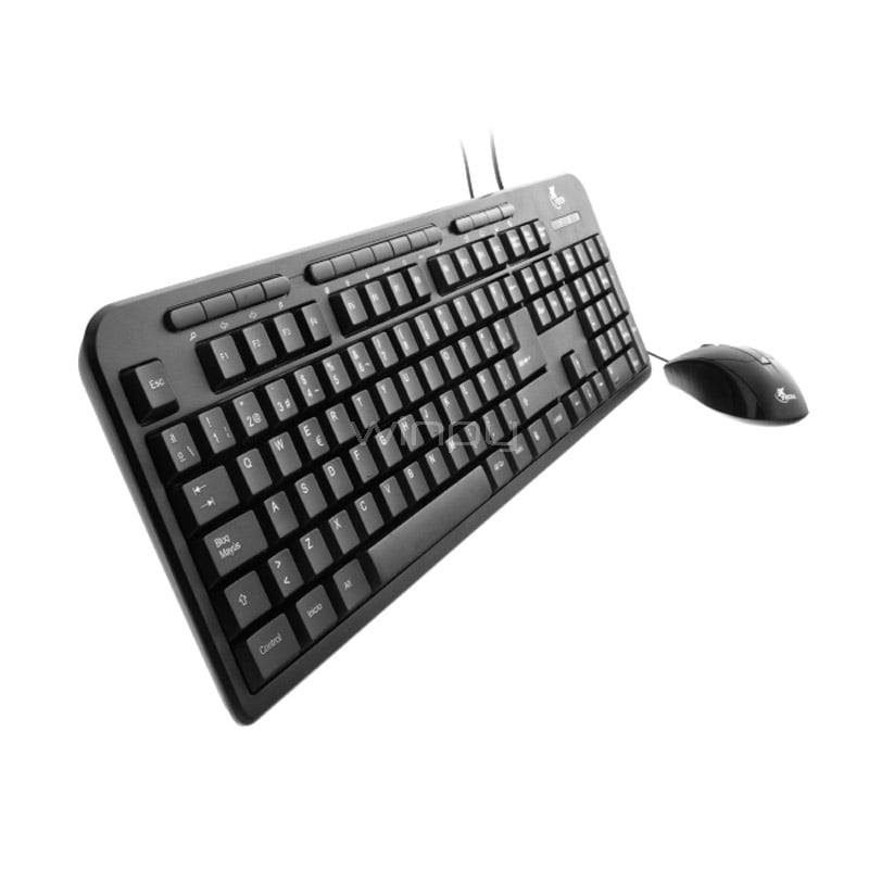 Kit Teclado + Mouse Xtech Multimedia (1000dpi, Español, Negro)