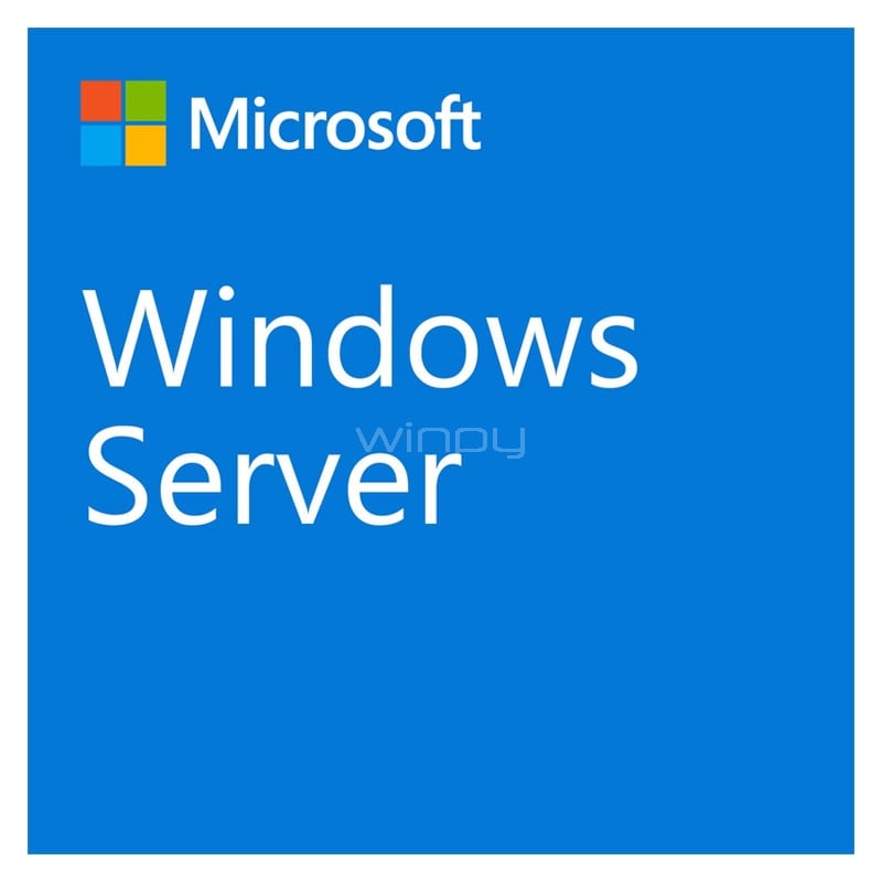 Microsoft Windows Server CAL 2022, 5 Usuarios, OEM, Español
