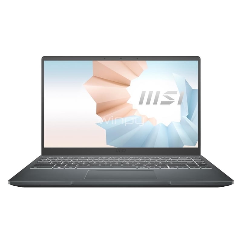 Notebook MSI Modern 14 B5M de 14“ (Ryzen 5 5500U, 8GB RAM, 256GB SSD, Win10)