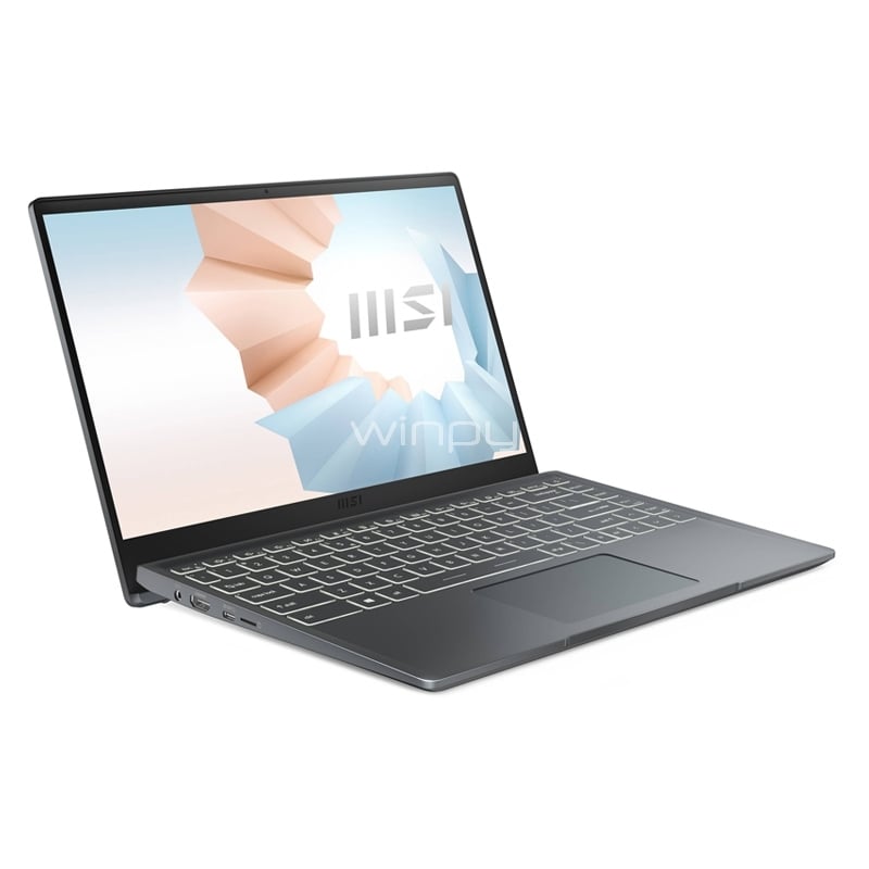 Notebook MSI Modern 14 B5M de 14“ (Ryzen 5 5500U, 8GB RAM, 256GB SSD, Win10)