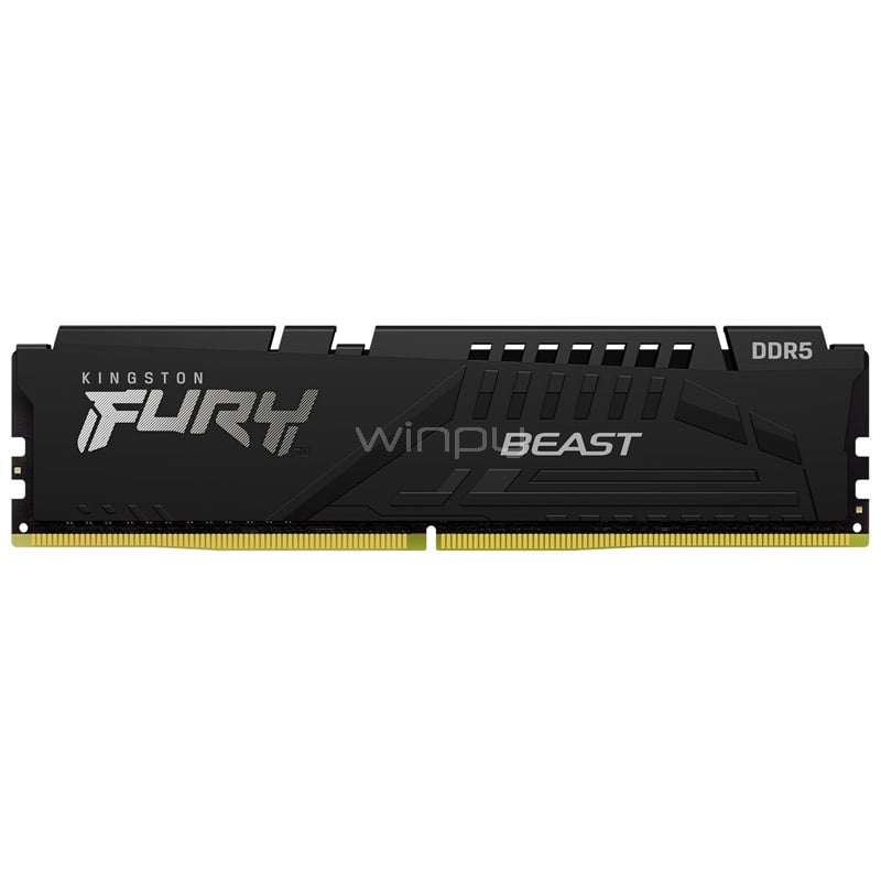 Memoria RAM Kingston FURY Beast Black de 16GB (5600MHz, DDR5, CL40, DIMM)
