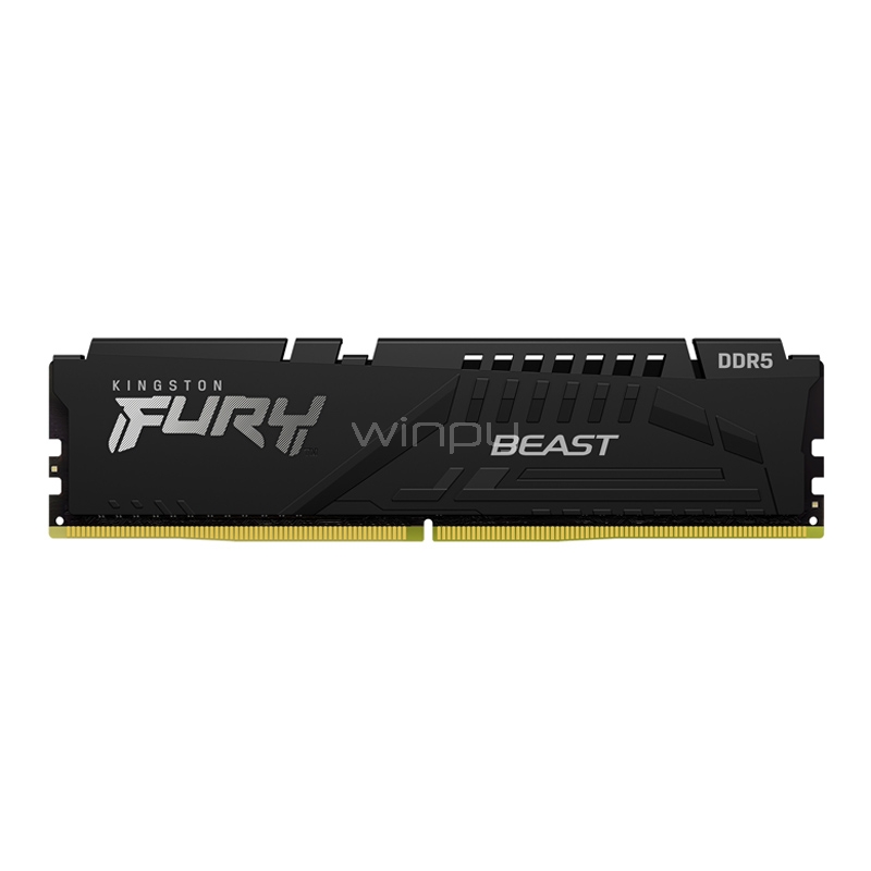 Memoria Kingston FURY Beast de 8 GB (DDR5, 4800MHz, CL38, DIMM)