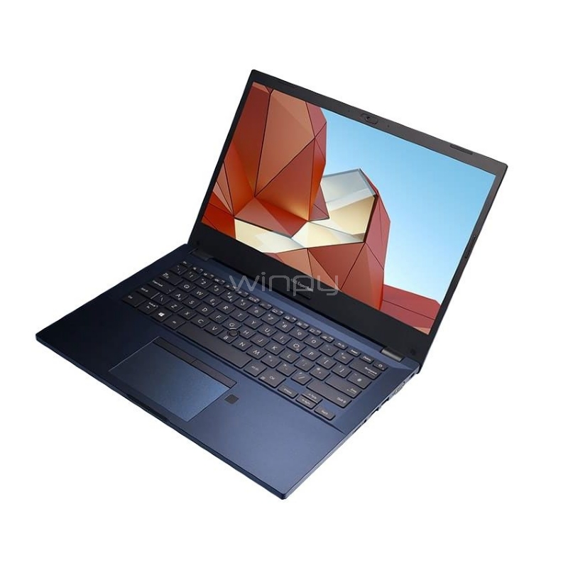 Notebook Asus ExpertBook P2 B2451FA de 14“ (i5-10210U, 8GB RAM, 256GB SSD, Win10 Pro)