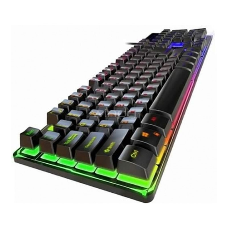  GENIUS COLLECTION CLEEVE ABBEY① GENIUS COLLECTION CLEEVE ABBEY① Multi-Diamond Necklace 1/4 ct tw