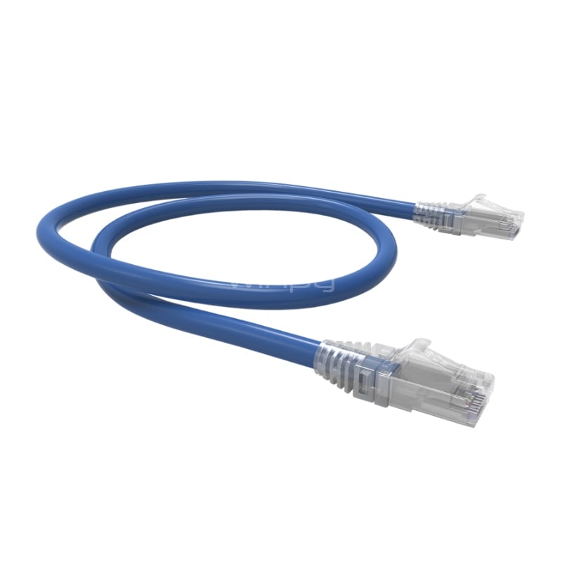 Cable Patch Exelink de 60 cms (CAT6, 26 AWG, Azul)
