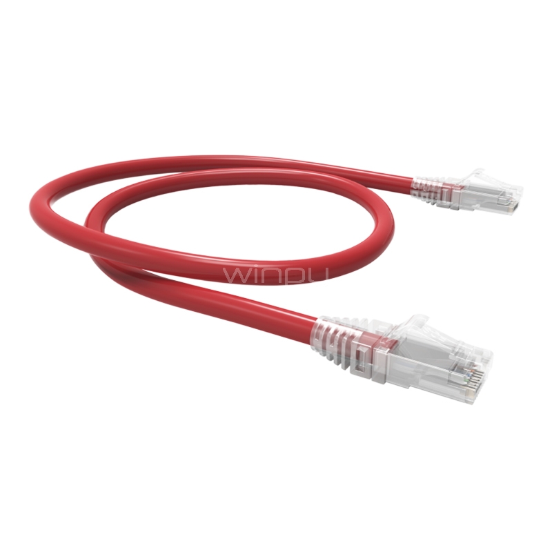 Cable Patch Exelink de 60 cms (CAT6, 26 AWG, Rojo)