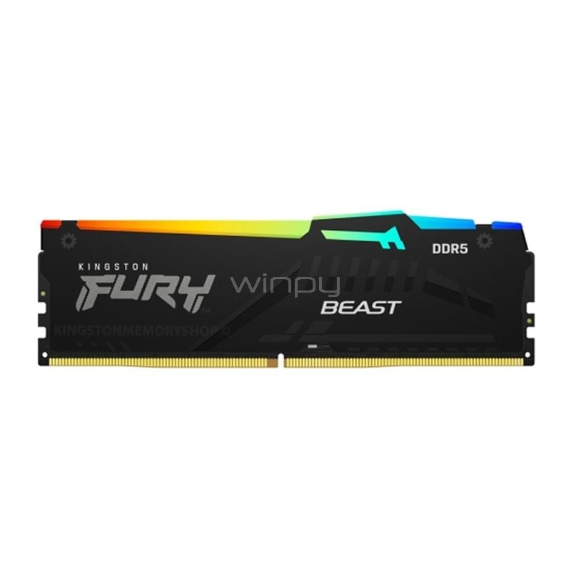 Memoria RAM Kingston FURY Beast RGB de 8GB (DDR5, 5600MHz, CL40