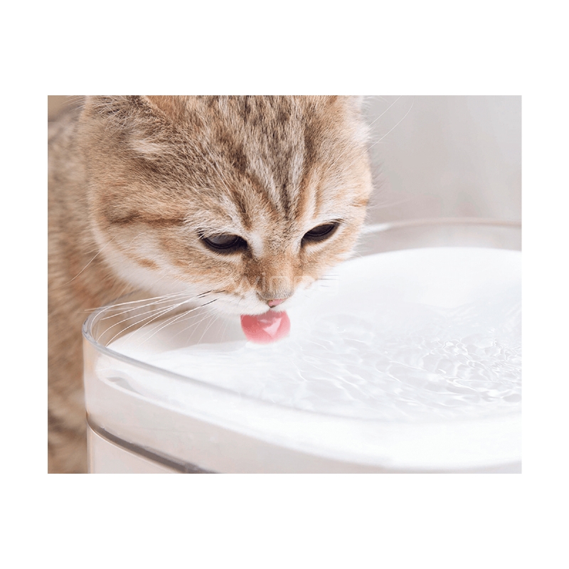 Bebedero Inteligente Xiaomi Smart Pet Food Fountain (Gatos, Perros)