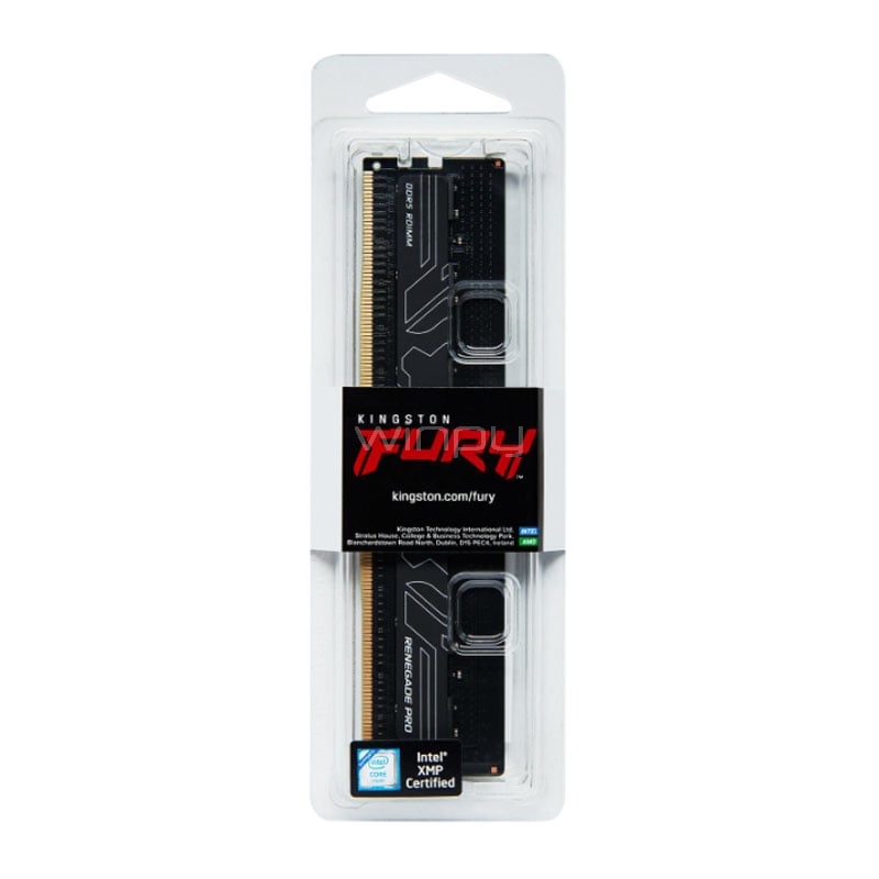 Memoria RAM Kingston Fury Renegade Pro Black de 32GB (DDR5, 5600MHz, CL36, 1.25V)
