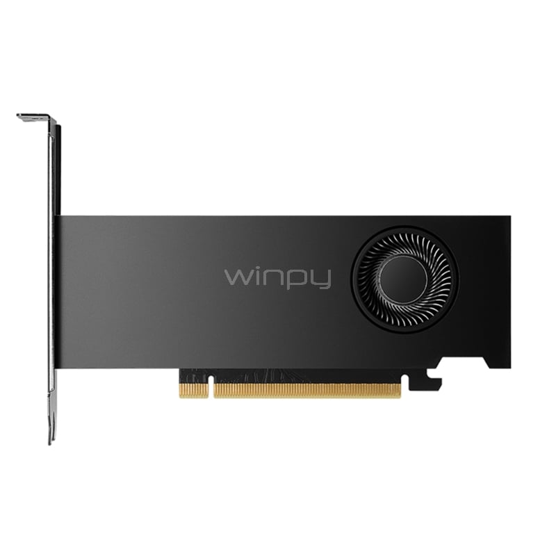 Tarjeta de Video Profesional PNY NVIDIA RTX 2000 de 16GB GDDR6