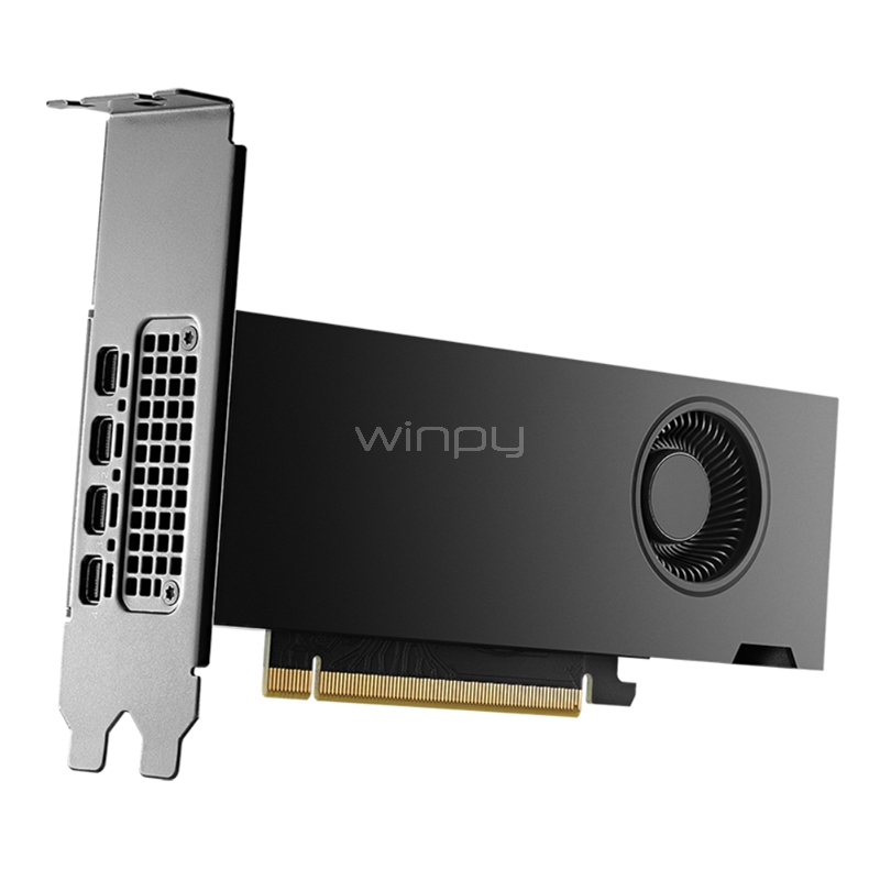 Tarjeta gráfica Profesional PNY NVIDIA RTX 2000 de 16GB GDDR6