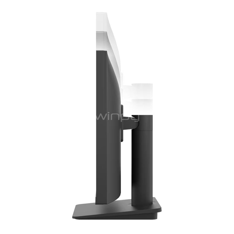 Monitor LG 25MS550-B de 25“ (IPS, Full HD, 100Hz, 5ms, HDMI, Vesa)