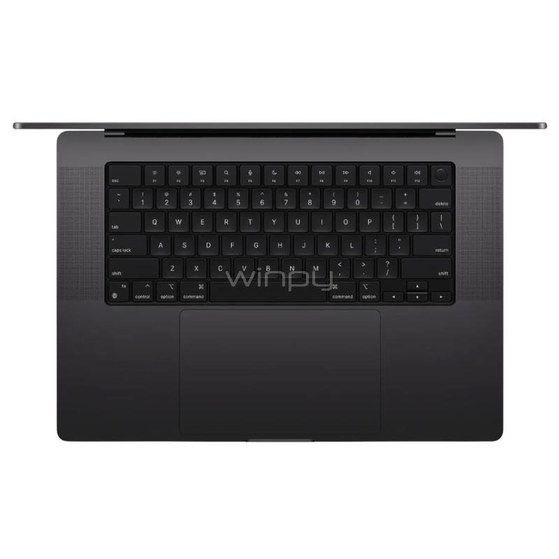 Apple MacBook Pro 16.2“ (Chip M4 Max, 36GB RAM, 1TB SSD, Finales de 2024, Space Black)