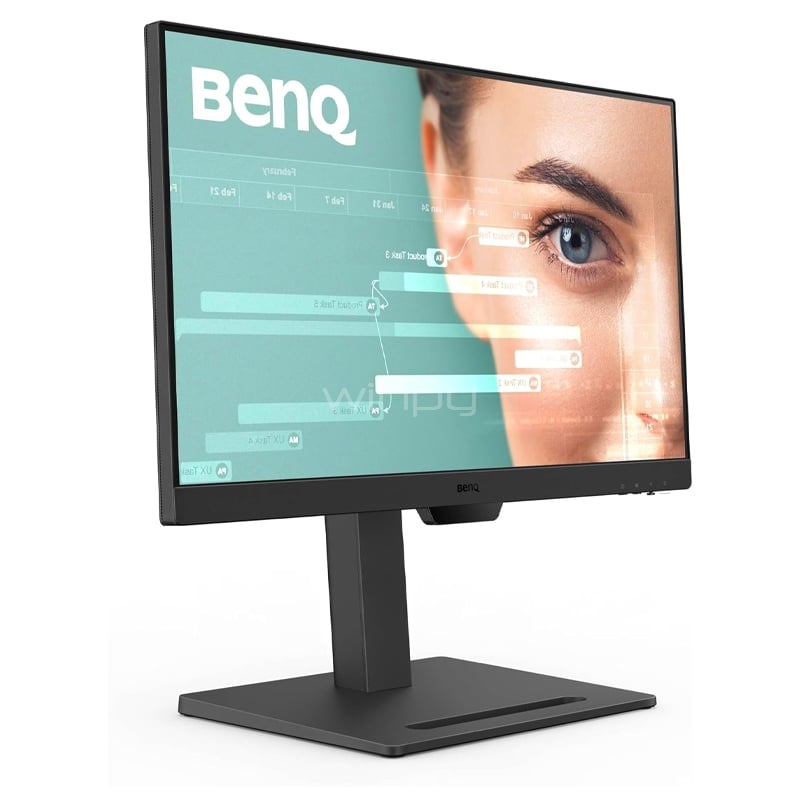 Monitor BenQ GW2490T de 23.8“ (IPS, Full HD, 100Hz, D-Port+HDMI, Vesa)