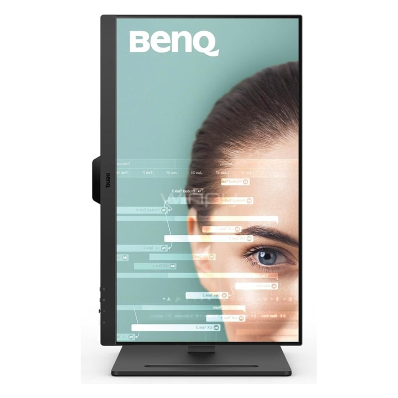 Monitor BenQ GW2490T de 23.8“ (IPS, Full HD, 100Hz, D-Port+HDMI, Vesa)