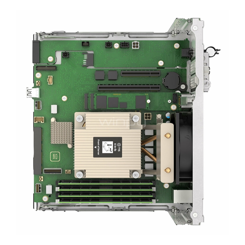 Micro Servidor HPE ProLiant Gen11 (Xeon E-2434, 16GB RAM, 2X1TB HDD, Torre)