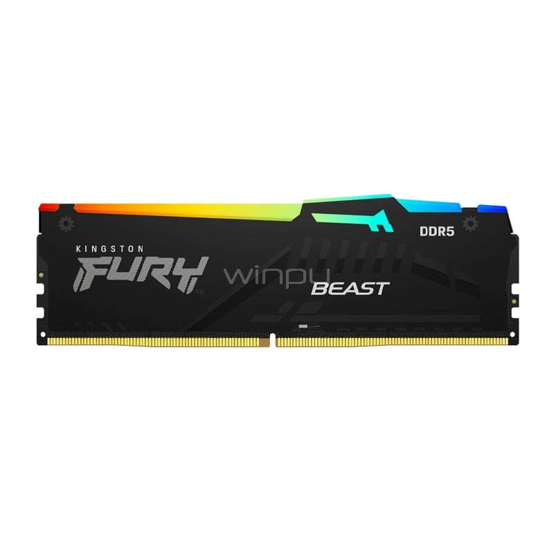 Memoria RAM Kingston FURY Beast RGB de 8GB (DDR5, 5600MHz, CL36, EXPO, DIMM)