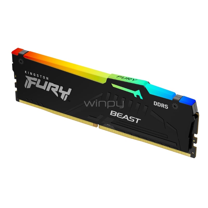 Memoria RAM Kingston FURY Beast RGB de 8GB (DDR5, 5600MHz, CL36, EXPO, DIMM)