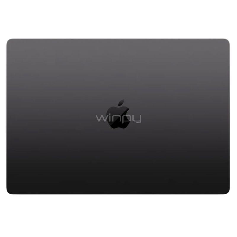 Apple MacBook Pro 16.2“ (Chip M4 Pro, 24GB RAM, 512GB SSD, Space