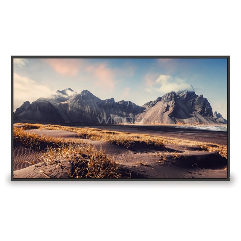 Pantalla Comercial MAXHUB CMA de 43“ (VA, 4K, HDMI+USB-C+Wi-Fi, Android)