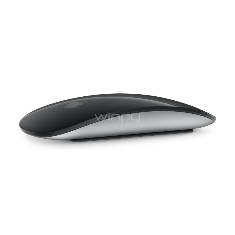 Apple Magic Mouse (Multi-Touch, USB-C, Negro)